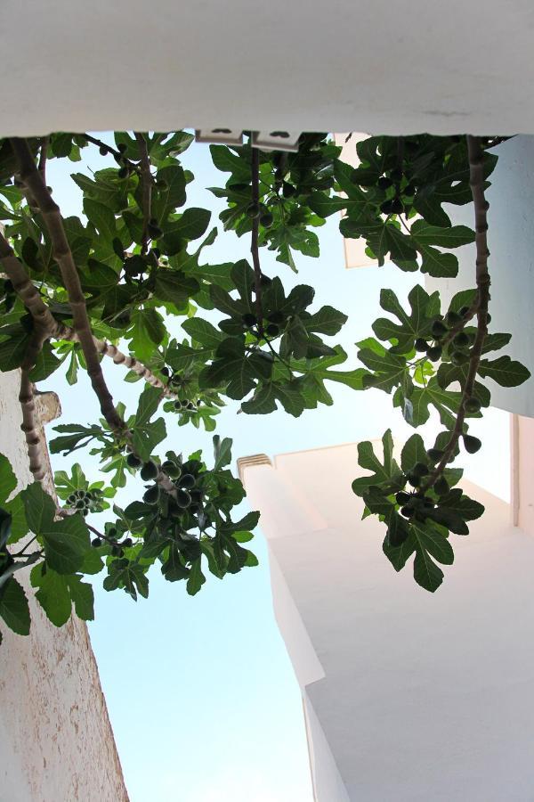 Vecchia Cantina - Le Camere ซานนิโกลา ภายนอก รูปภาพ